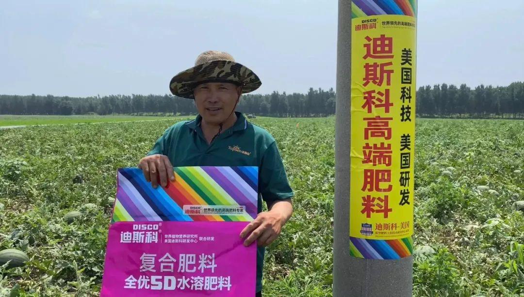 迪斯科5d水溶复合肥料,让新疆葡萄增产增收甜如蜜